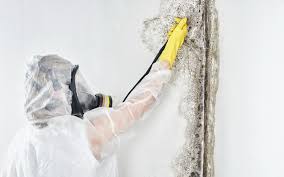 Mold Remediation for Rental Properties in Island Park, NY